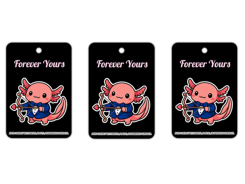 Same Design Bundle of 3